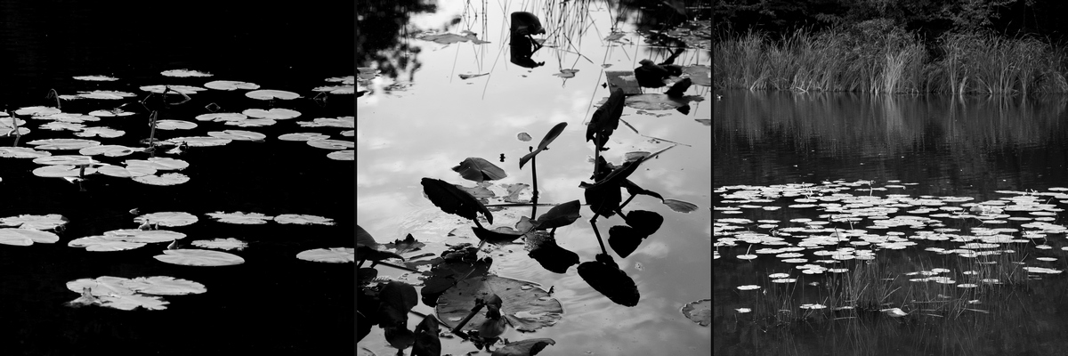 River