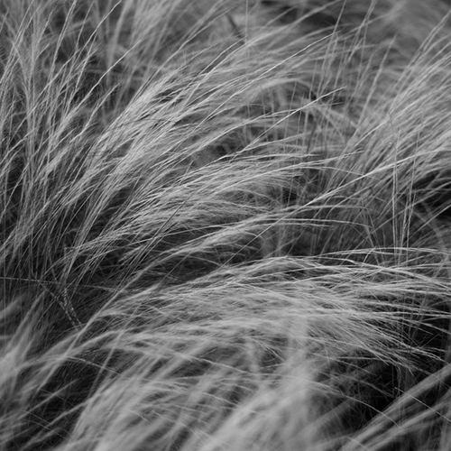 INDETERMINACY