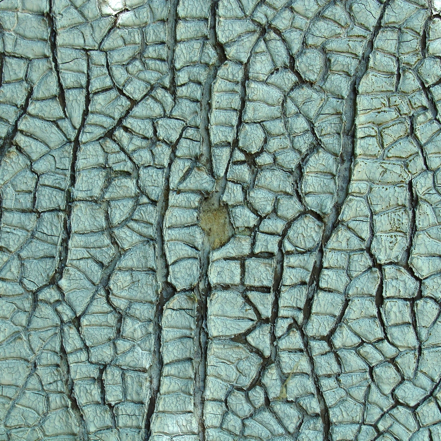 DSC07415